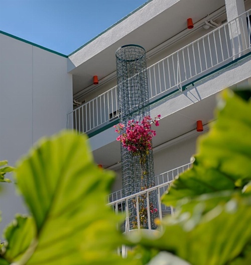 Oasis Inn image 12