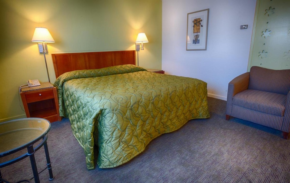 King Room