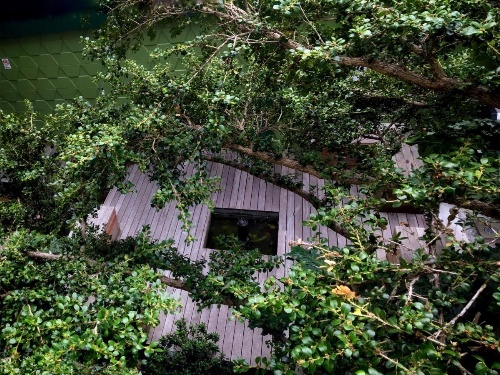Oasis Inn image 32