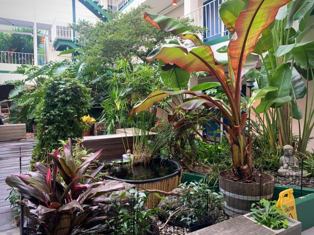 Oasis Inn